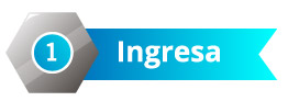 Ingresa